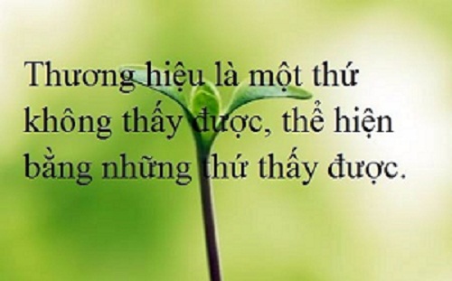 hinh_anh_tha_thinh_khach_hang_bang_bo_nhan_dien_thuong_hieu_2
